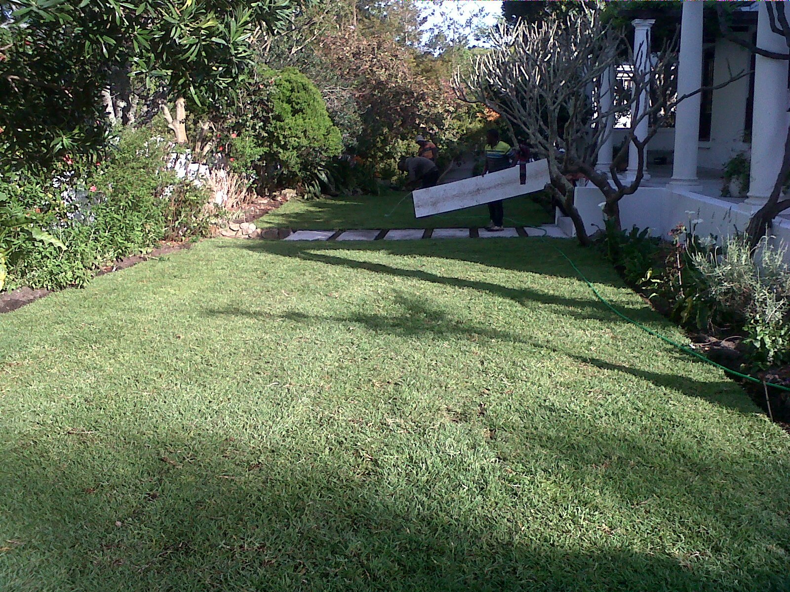 Go Greens Home Solutions