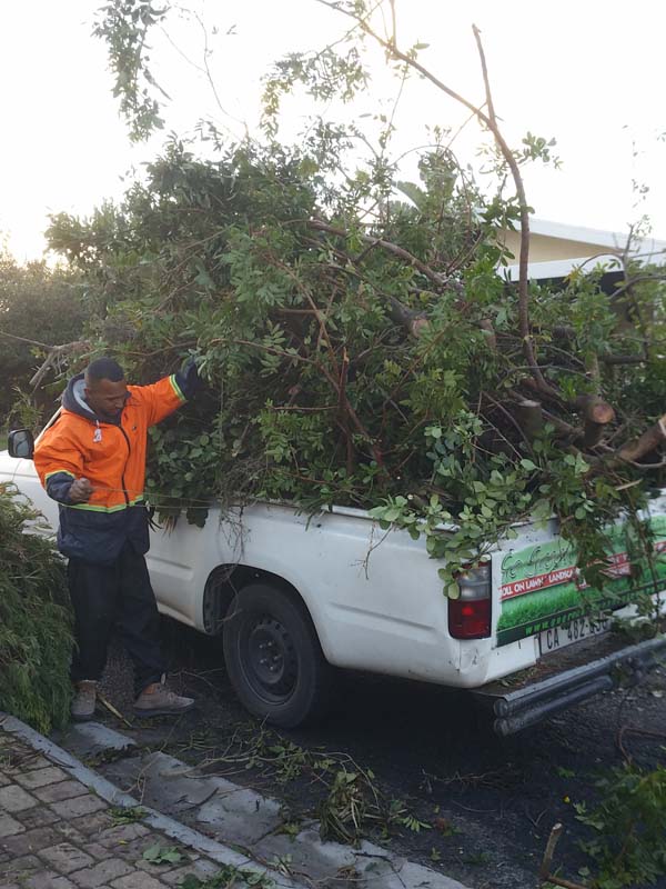 Go Greens Home Solutions