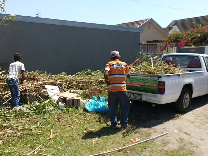 Go Greens Home Solutions